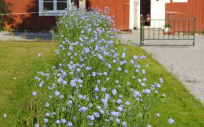 Information om öppettider