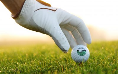 Kallelse till höstårsmöte 2022