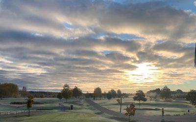 Information gällande betalning av årsavgifter 2023