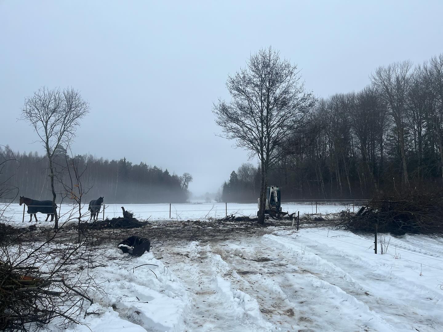 424955097_18255040786238672_246298662513132299_n